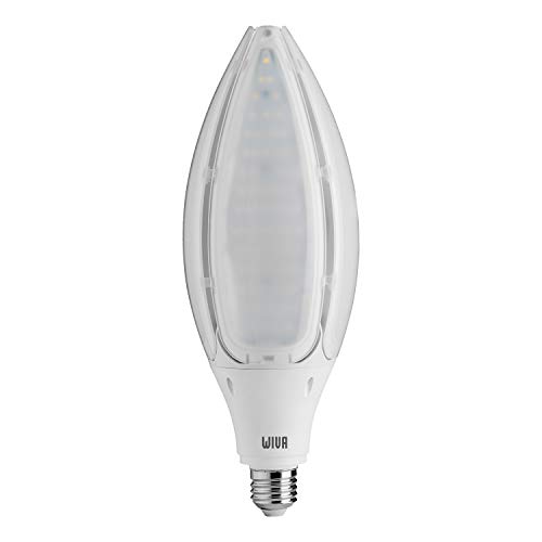 Quellen Hi Power Tulip SIL E40 50 W 4 K WHT