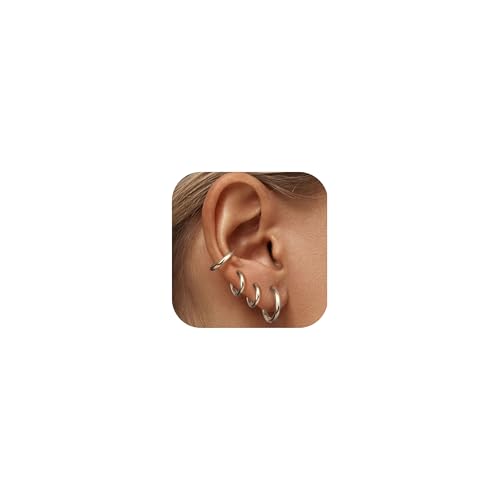 LOLIAS Kleine Silber Creolen Ohrringe für Damen 316L Chirurgenstahl Huggie Creolen Ohrringe Knorpel Nase Lippen Daith Helix Piercing Schmuck Tiny Sleeper Creolen 18G Ohrpiercing 6 8 10 12MM