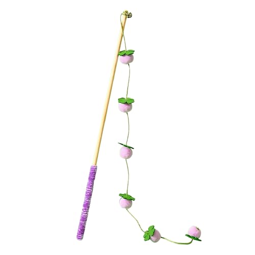 dzqad Katzen Spielzeug Angel Interaktiver Selbstspielstab Mit Fruchtdesign - Katzen Reizspielzeug Für Kätzchenspiel Im Innenbereich Gegen Langeweile Mit Vogel- Fisch- Und Maus-Motiven