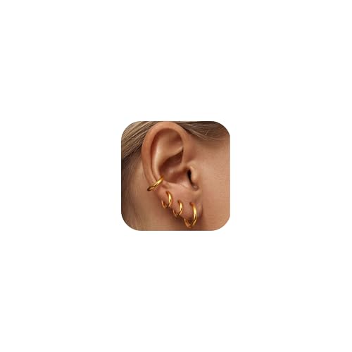 LOLIAS Kleine Goldene Creolen Ohrringe für Damen 316L Chirurgenstahl Huggie Creolen Ohrringe Knorpel Nase Lippen Daith Helix Piercing Schmuck Tiny Sleeper Creolen 18G Ohrpiercing 6 8 10 12MM