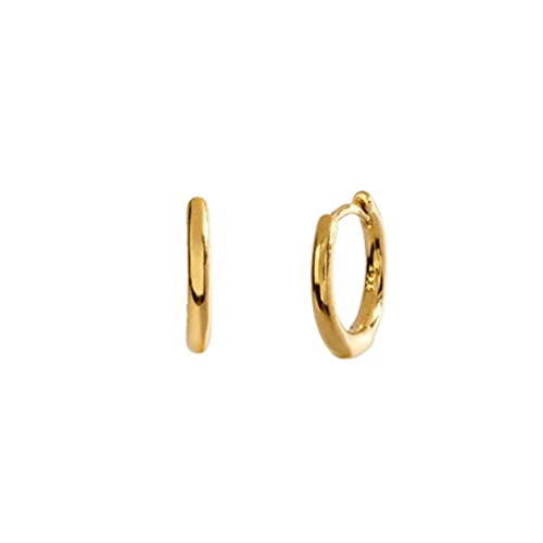Jewelry Damen-Silberohrringe 925er-Sterlingsilber Bling-Regenbogen-Zirkon-Creolen-Ohrring für Frau Valentinstag Verlobungsgeschenk Geburtsstein Pendientes Jewelry