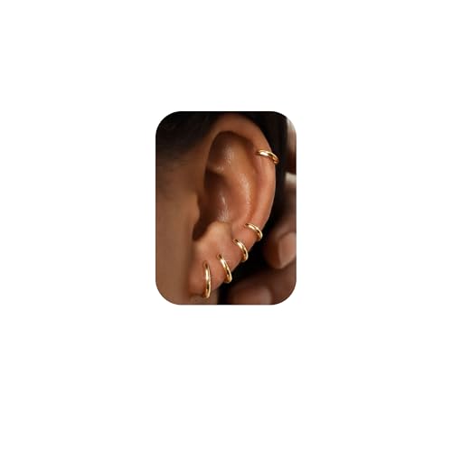 FIOROYAL 5Paar für Damen Mädchen Sterling Mini Set Gold Silver Hypoallergen Helix Piercings für Empfindliche Ohren 6 7 8 9 10MM G