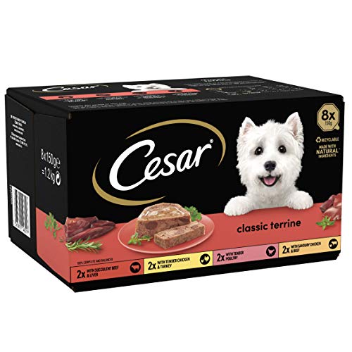 Cesar Classics Terrine - Nassfutter für ausgewachsene Hunde 1 gemischte Auswahl in Gelee 24 Schalen 24 x 150 g