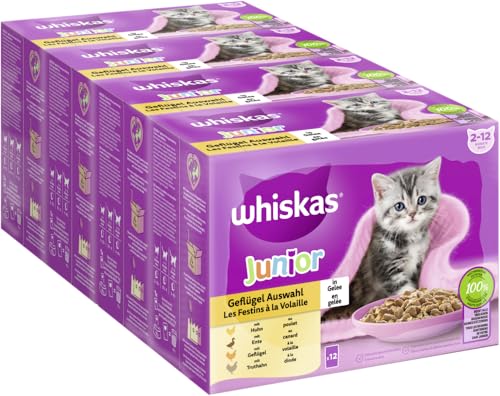 WHISKAS Junior Nassfutter Portionsbeutel Multipack Geflügelauswahl in Gelee 4 x 12 x 85g