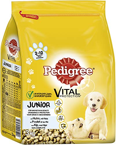 Pedigree Junior Trockenfutter mit Huhn und Reis 3 Beutel 3x3kg Hundefutter für Welpen für Wachstum und Schutz