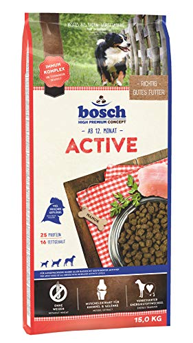  Active mit gesteigerter Aktivität 1x