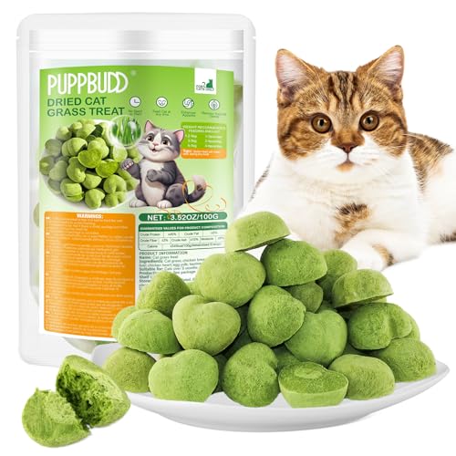 Katzengras Snacks 100g Gefriergetrocknet Katzengras für Katzen Katzengras Fertig Gewachsen für die Zahnpflege Katzengras Sticks Haarknäuel Entfernen