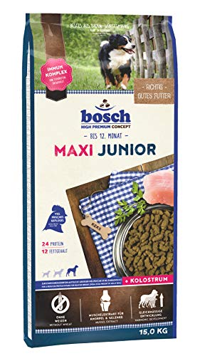 Maxi Junior zur Aufzucht großer ab 25 1x