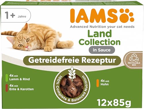  Getreidefrei   Fleisch Sorten getreidefreies für 1 Jahr 12x