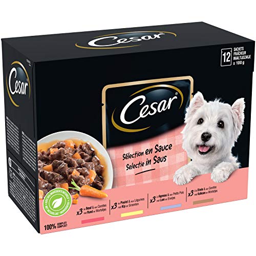 CESAR Hundefutter 48 Frischebeutel 4 Packungen 12 x 100 g Nassfutter für Hunde in Soße Rind Huhn Lamm Truthahn Vollnahrung ausgewogenes Futter mit natürlichen Inhaltsstoffen