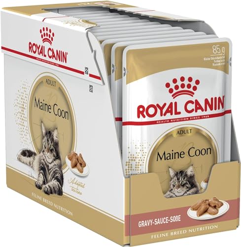 Royal Canin Maine Coon Adult 12 x 85 g Nassfutter für Katzen Speziell auf die Bedürfnisse von Maine Coon Katzen abgestimmt Mit angepasstem Energiegehalt