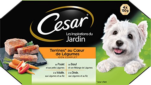 CESAR Barquettes en terrine coeur de l gumes - 4 vari t s - Pour chien adulte - 4 x 150 g x6