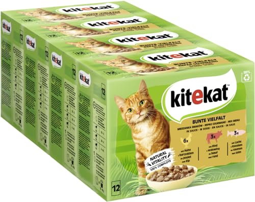  Bunte Vierfalt Sauce Portionsbeutel 4x 12x 85g