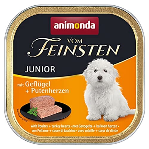 animonda Vom Feinsten Junior Hundefutter Nassfutter für Hunde im Wachstum mit Geflügel Putenherzen 22 x 150 g