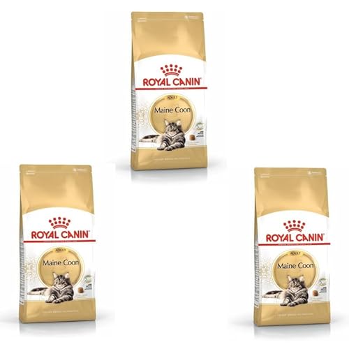 ROYAL CANIN Maine Coon Adult 3er Pack 3 x 400 g Trockenfutter für Katzen Angepasst auf den Bedarf von Maine Coon Katzen Zur Unterstützung der Gelenke und Knochen