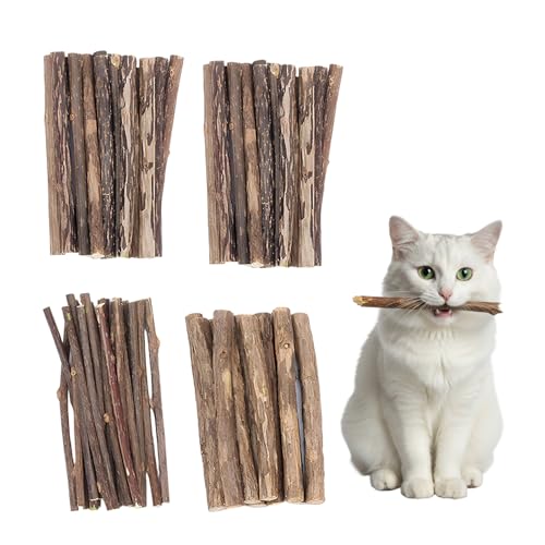 BrKern 40 Stück Katzenminze Sticks Katzenspielzeug zur Selbstbeschäftigung Zahnpflege Natürliche Kaustangen für Frischen Atem Beruhigendes Katzenzubehör