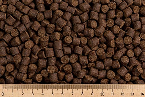 Grundpreis 2 10 Euro kg - 25 kg Karpfenfutter Basic-Primo 8 0 mm - sinkend