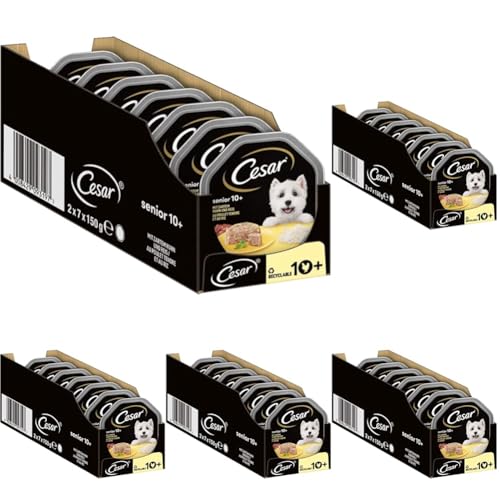 Cesar Hundefutter Nassfutter Senior 10 mit zartem Huhn und Reis in Gelee 14 Schalen 14 x 150g Packung mit 5