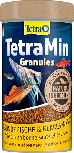 TetraMin Granules - langsam absinkendes Fischfutter ideal für Fische in der mittleren Wasserschicht des Aquariums 250 ml Dose