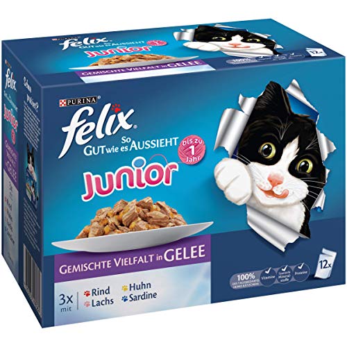 Felix Katzenfutter Junior gemischte Vielfalt 6er Pack 6 x 12 x 100g Beutel