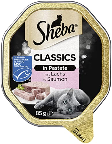 Sheba Classics in Pastete Katzennassfutter Hochwertiges Feuchtfutter in 22 Schalen als Pasteten mit feinen Stückchen mit Lachs Katzenfutter 2er Pack 2 x 11 Schalen 85g