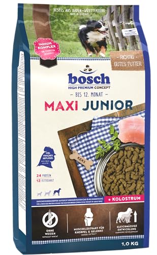  Maxi Junior zur Aufzucht großer ab 25 1x