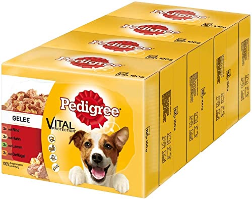PEDIGREE Portionsbeutel Multipack Favourite 4 Varietäten in Gelee Huhn Rind Leber Geflügel Lamm Leber 4x 12x 100g