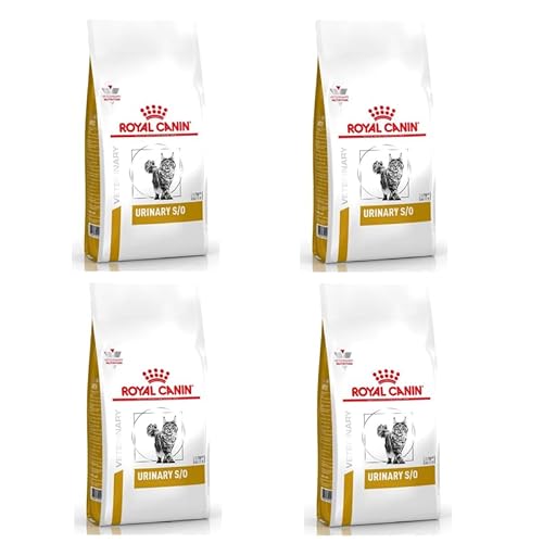 Royal Canin Veterinary Urinary S O 4er Pack 4 x 400 g Trockenfutter für Katzen Zur Unterstützung der Harnwege Bei Struvitkristallen Reduzierter Magnesiumgehalt