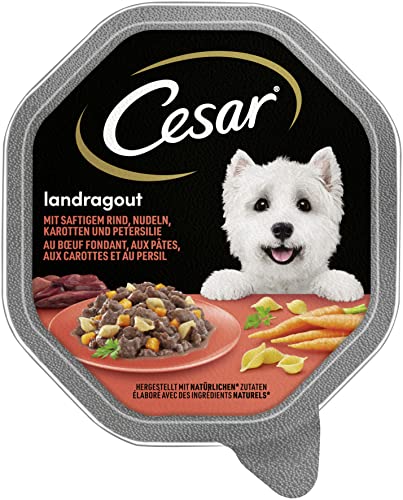 Cesar Mini Filets in Sauce mit Rind Pasta und Karotten 150 g 12-er Pack 12 x 150 g