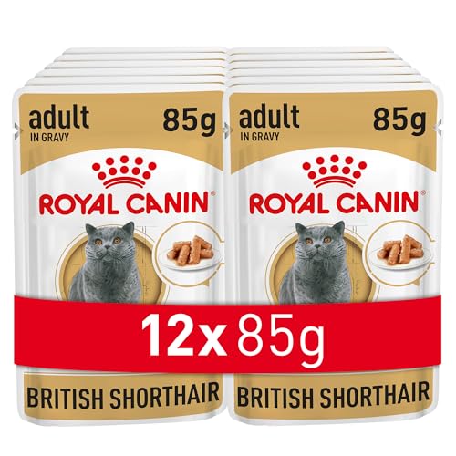 Royal Canin Adult British Shorthair Nassfutter 12 x 85 g