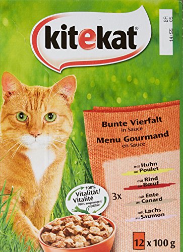 Kitekat Bunte Vielfalt 12 x 100 g