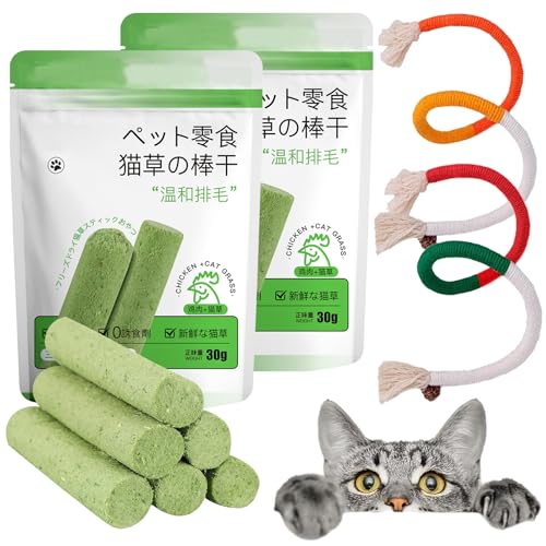 60g Katzengras Sticks 12 Stück Katzengras Snacks mit 2 Beißseilen Gefriergetrocknet Snacks für Katzen Beißstäbe Aus Katzengras Katzen Sticks Katzengras Fertig Gewachsen Zahnpflege Haarknäuel