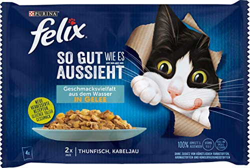 FELIX Katzennassfutter So gut wie es aussieht in Gelee Geschmacksvielfalt aus dem Wasser mit Thunfisch und Kabeljau 12er Pack 12 x 4 x 85g