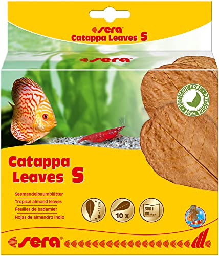 sera Catappa Leaves S 10-15 cm 10St - Seemandelbaumblätter für die natürliche Wasseraufbereitung