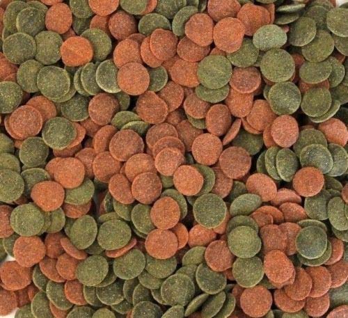 Wohnkult Hausmarke Mini Wafers Spirulina Color und Mix für alle Corydoras u. Bodenbewohner Krebse Garnelen UVM. TOP Futter Fischfutter 5000 ml Mix im Eimer