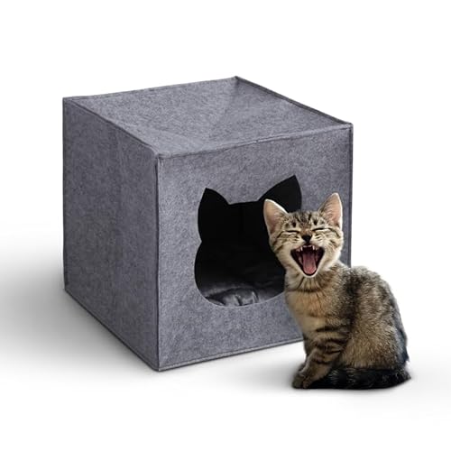 Bestlivings KatzenhÃ¶hle Filz fÃ¼r Regale 33x33x33cm Ã–KO-Tex - passend fÃ¼r IKEA Kallax Expedit - inkl. Kuschelkissen - faltbares Katzenbett - HÃ¶hle fÃ¼r Katzen