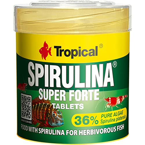Tropical Super Spiru Tabin A Hafttabletten mit 36% Spirulina platensis Algen 1er Pack 1 x 50 ml