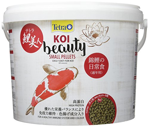 Tetra KOI Beauty Small Premium-Hauptfutter für Gesundheit und Farbenpracht geeignet für Koi ab 10 cm 10 L Eimer 1er Pack 1 x 10 ml