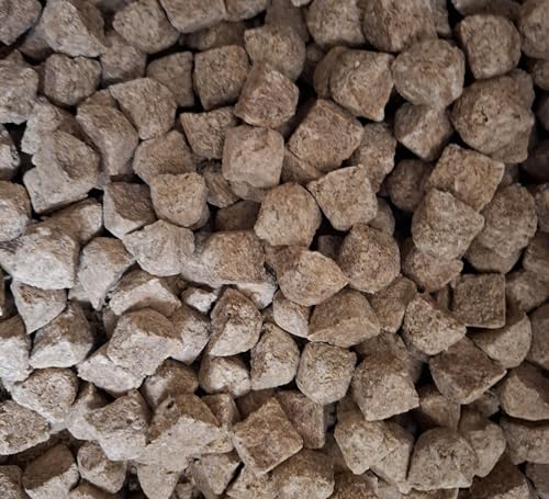 Artemia FD Würfel Gefriergetrocknete Artemia Salinenkrebse 100% Natur Proteinreiches Futtermittel für Zierfische Süß- und Meerwasserfische Reptilien 25Gr