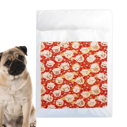 Pavsicgn Schlafsack für Katzen Warmes Kätzchen Bett Indoor Katzen Haus Für Tiereltern Und Tierliebhaber Bei Kaltem Wetter Für Büro Schlafzimmer Zum Nachtschlaf Und Tagschlaf In Tierarztpraxis