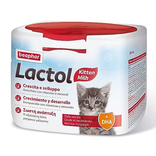 Lactol Kitten Milk Leche en Polvo 250gr