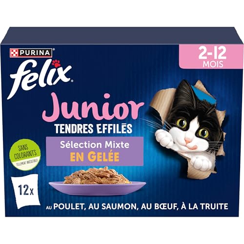 PURINA - Felix Zarte konische Junior Katze Vollfutter geeignet für sterilisierte Kätzchen mit Huhn Rindfleisch Lachs und Forelle Gelee Einzelportion 12 x 85 g