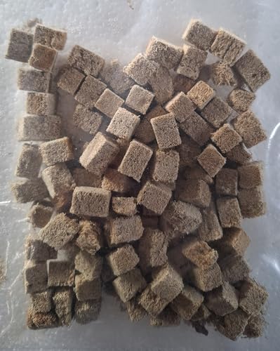  FD Premium Gefriergetrocknete Schlammröhrenwürmer% Naturfutter für 25 Gr