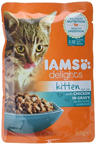 IAMS Delights Kitten Nassfutter - Multipack Katzenfutter mit Huhn in Gelee hochwertiges Futter für Junior Kätzchen von 1-12 Monate 12 x 85 g