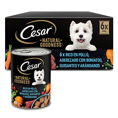 Cesar Natural Goodness Nassfutter für Erwachsene Hunde mit Huhn 6 Dosen x 400 g