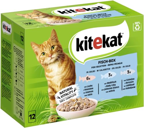 KITEKAT Fisch-Box in Gelee 12x85g Katzenfutter Nassfutter