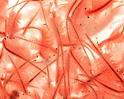 NatureHolic Lebendfutter Artemia Premium für Fische Garnelen Krebse Schnecken - 90 ml