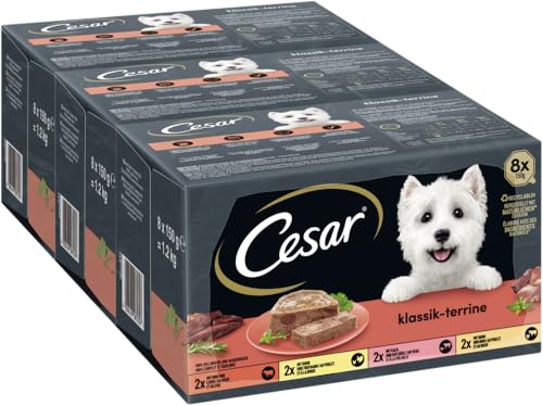 Cesar Multipack Schale Klassik-Terrine 4 Varietäten Rind Leber Huhn Truthahn Kalb Geflügel Huhn Rind 3 x 8 x 150g
