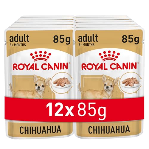 Royal Canin Chihuahua Adult 12 x 85 g Nassfutter für ausgewachsene Chihuahuas Zur Unterstützung der Stuhlqualität und der Zahngesundheit Hohe Akzeptanz