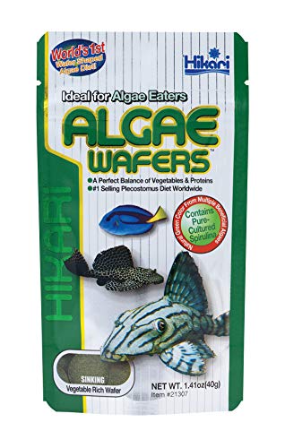HIKARI SALES U.S.A INC 48685 317 Hikari Tropical Algae Wafers Gr e 40g einen Artikel